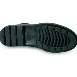 Aigle CARVILLE