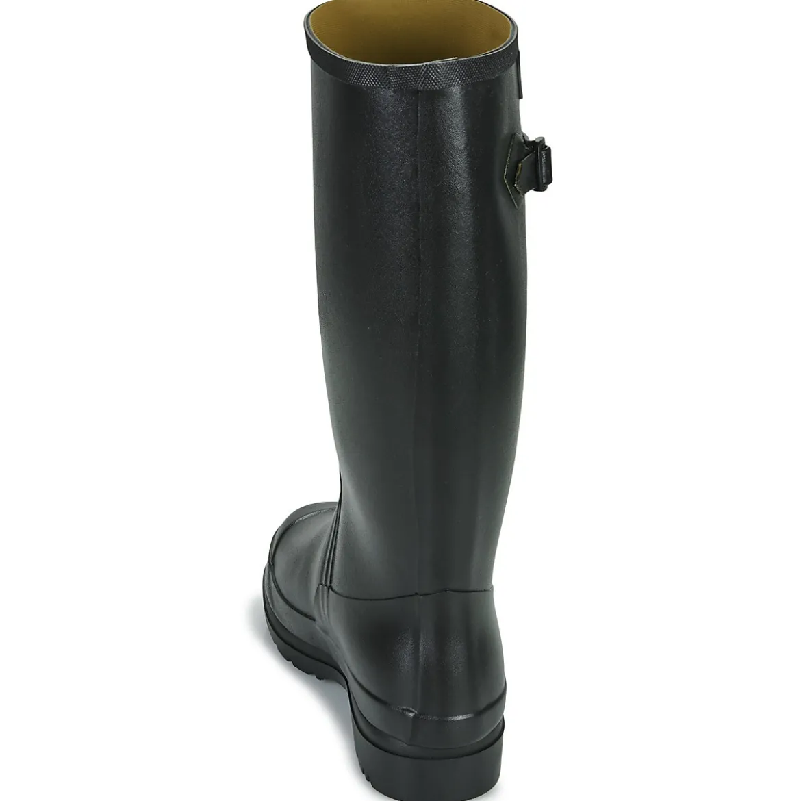 Aigle Cessac