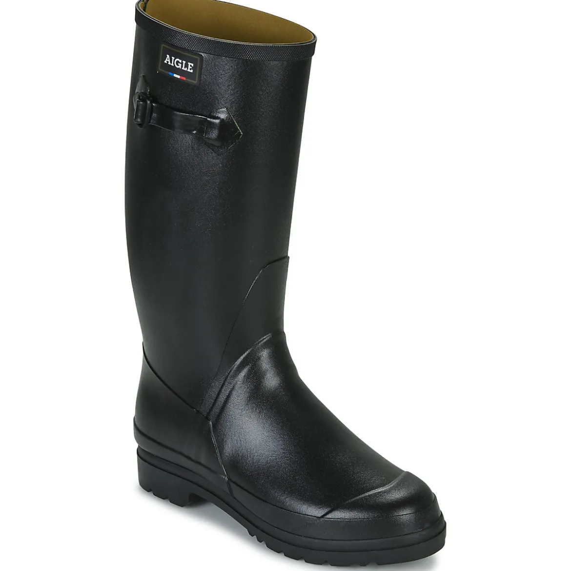 Aigle Cessac