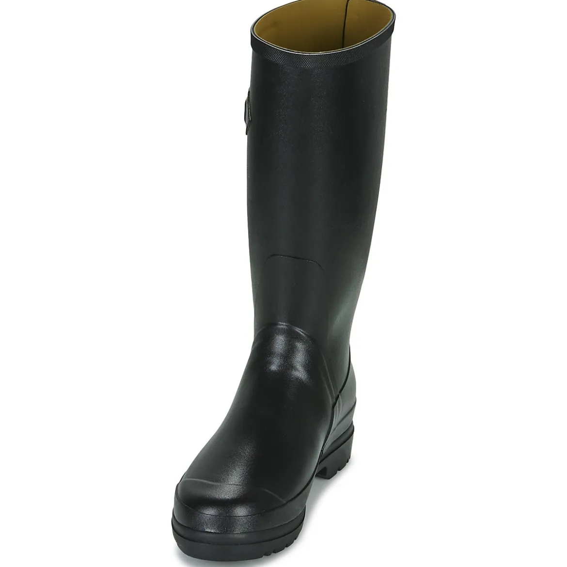 Aigle Cessac