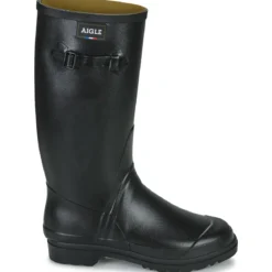 Aigle Cessac