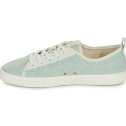 Armistice NOVO ONE