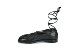 Ballerinaer Bronx