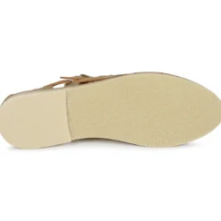 Ballerinaer Mapache