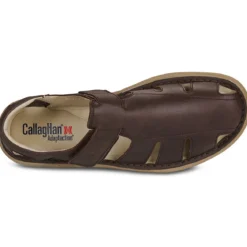 CallagHan 92311