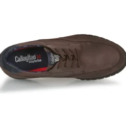 CallagHan FREEMIND