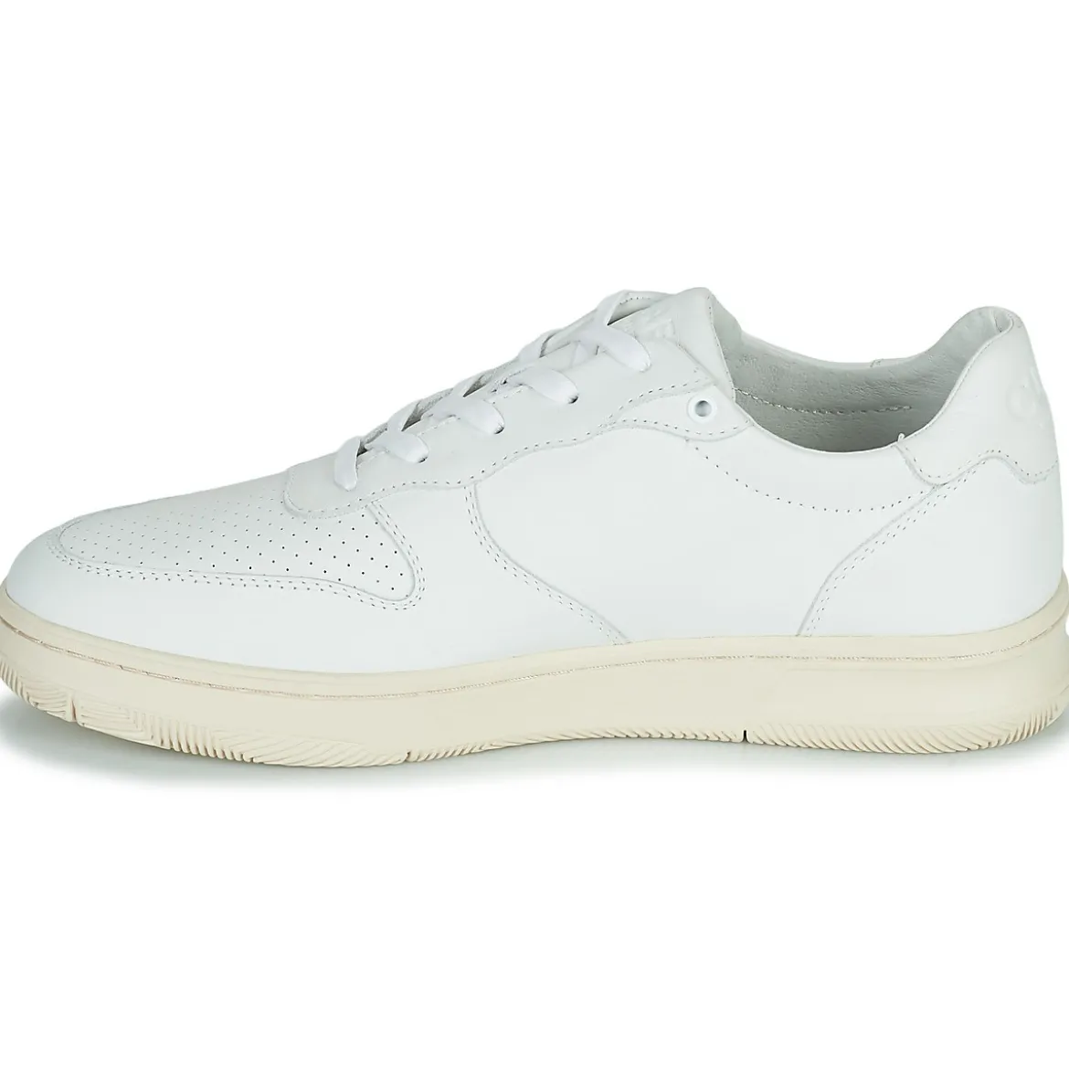 Clae MALONE