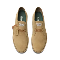 Clarks desert