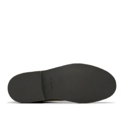 Clarks desert
