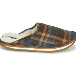 Cool shoe Home