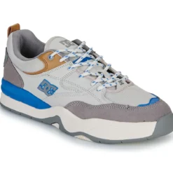 DC Shoes DC Ascend