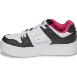 DC Shoes Manteca 4