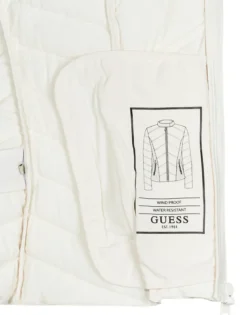 Dynejakker Guess