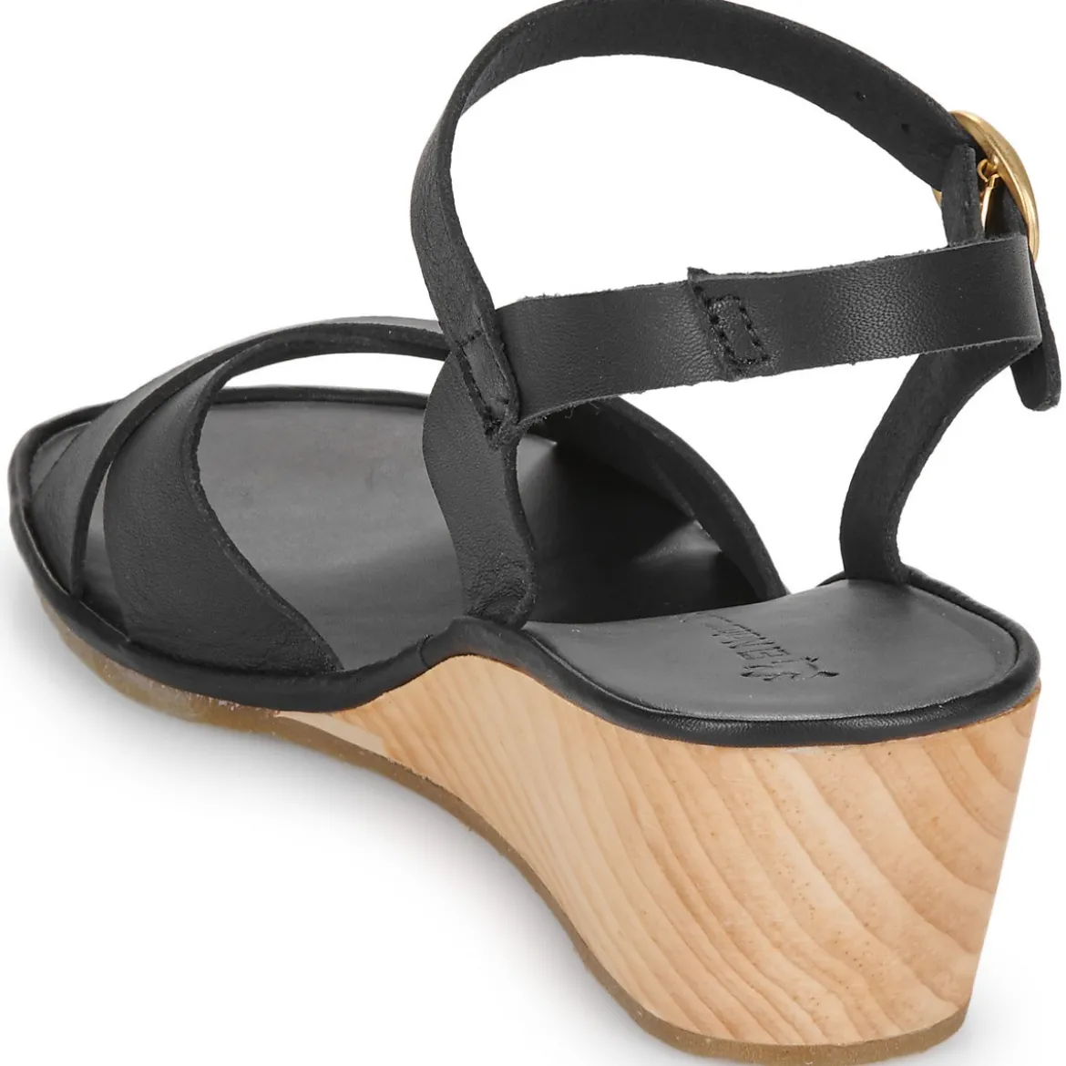 El Naturalista GAIA N854