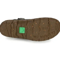 El Naturalista YGGDRASIL