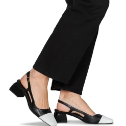 Fericelli LEA