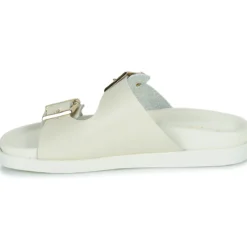 JB Martin AUDACE