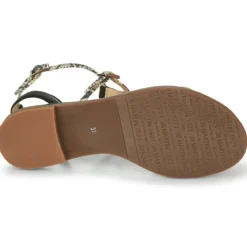 JB Martin GRIOTTES