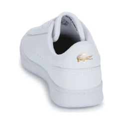 Lacoste carnaby