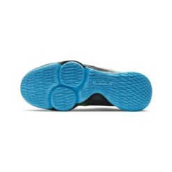 Nike Lebron Witness V
