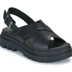 Palladium Pallacruise