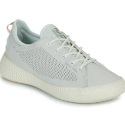 Palladium PALLANOVA LTH