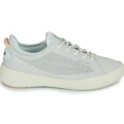 Palladium PALLANOVA LTH