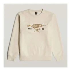 Pullovere G-Star Raw