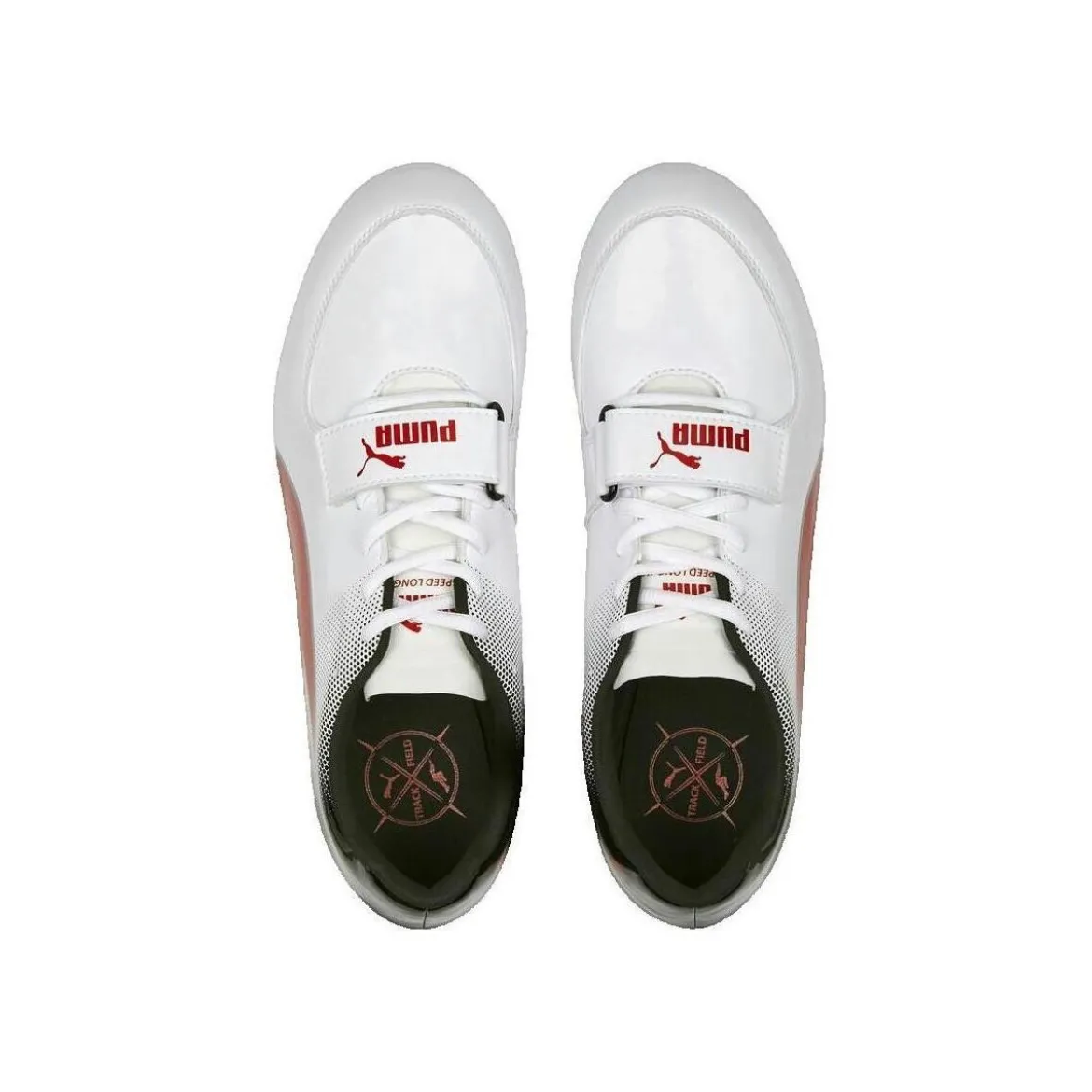 Puma EvoSpeed