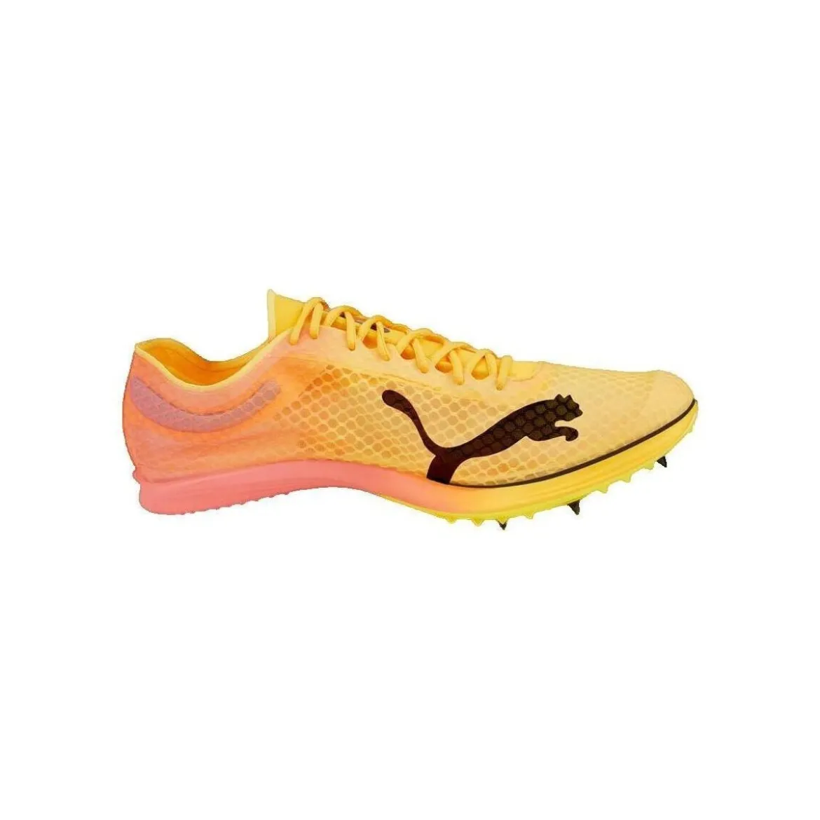 Puma EvoSpeed