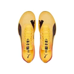 Puma EvoSpeed