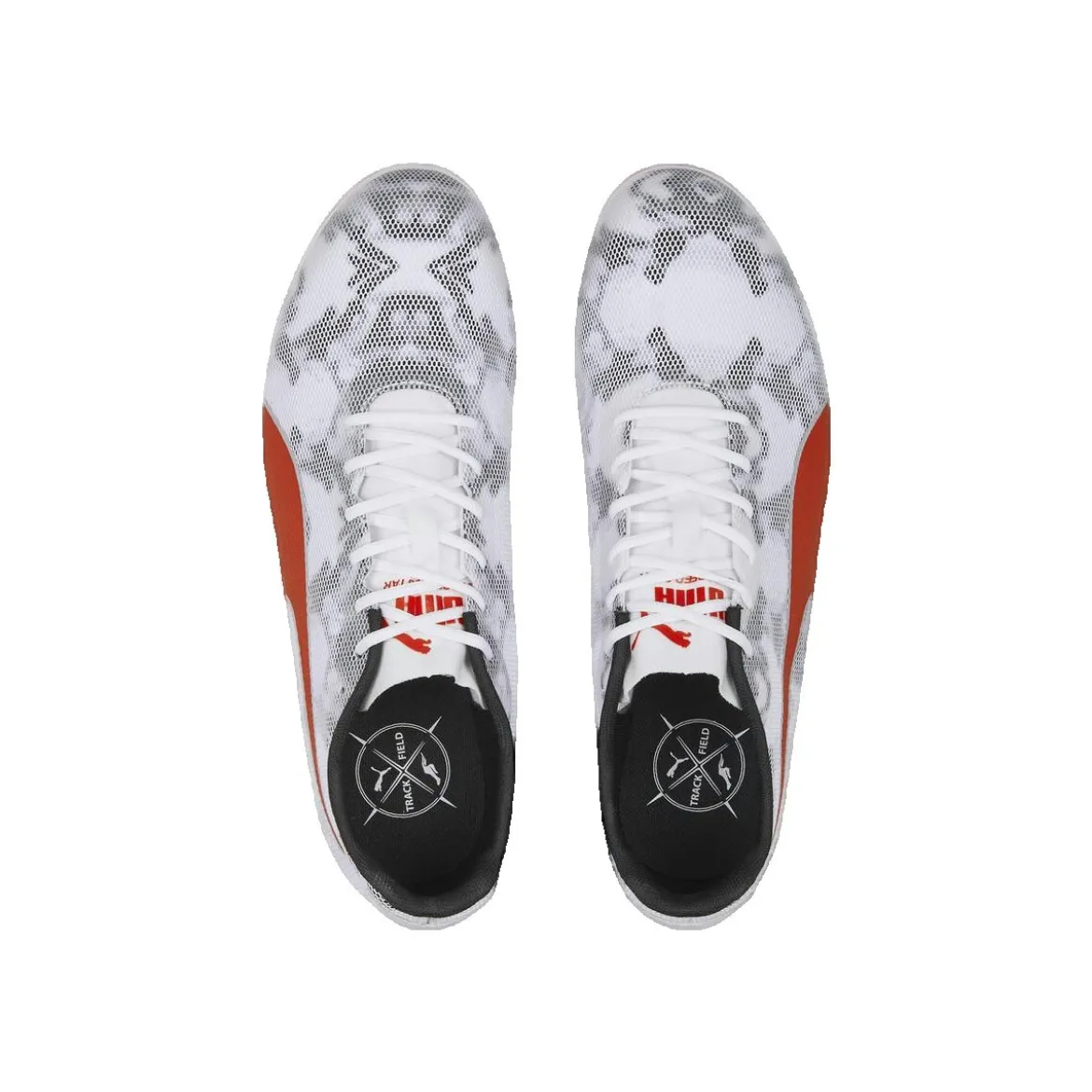 Puma EvoSpeed