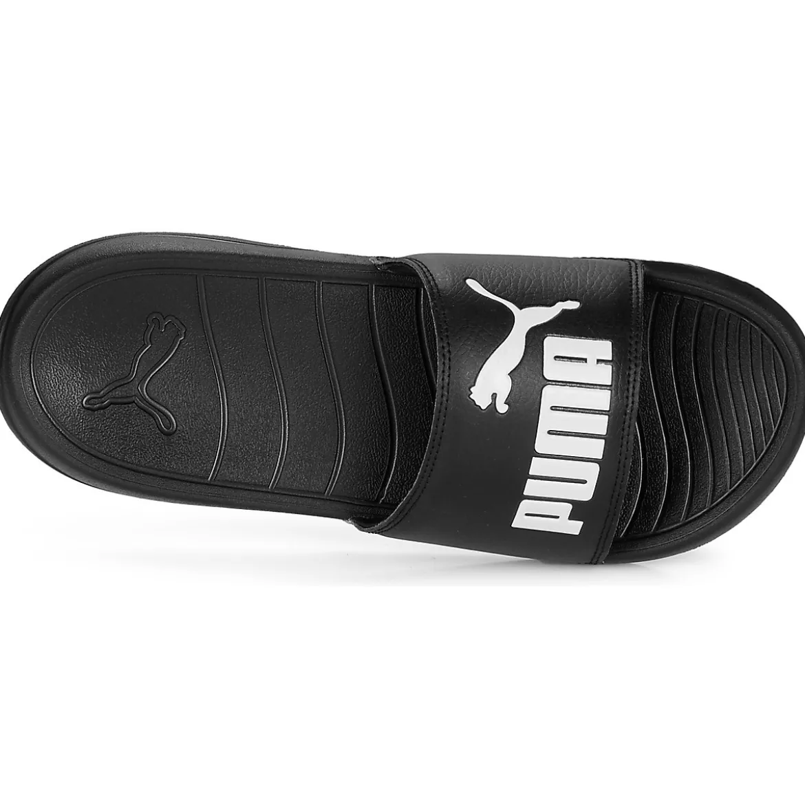 Puma Popcat