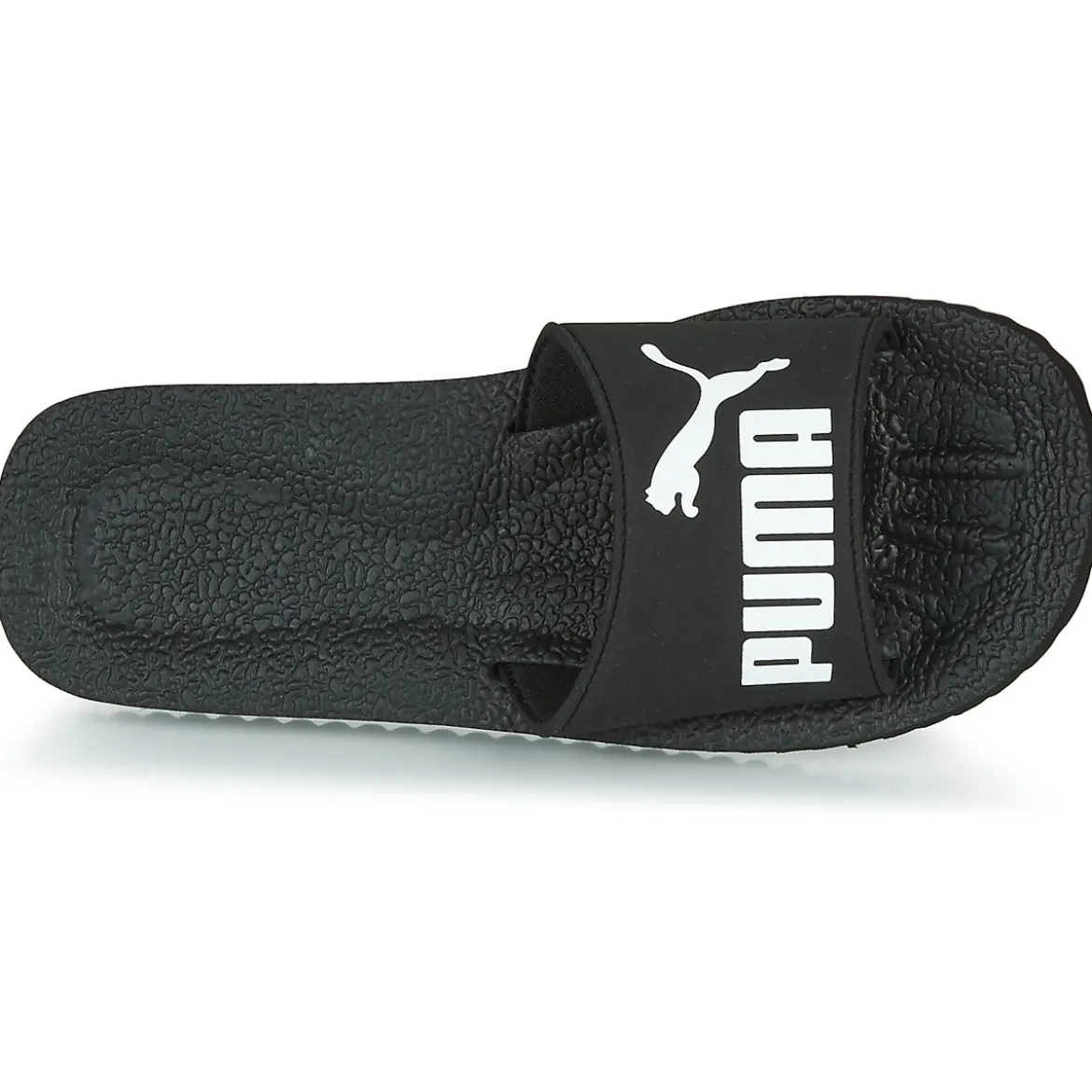 Puma Purecat