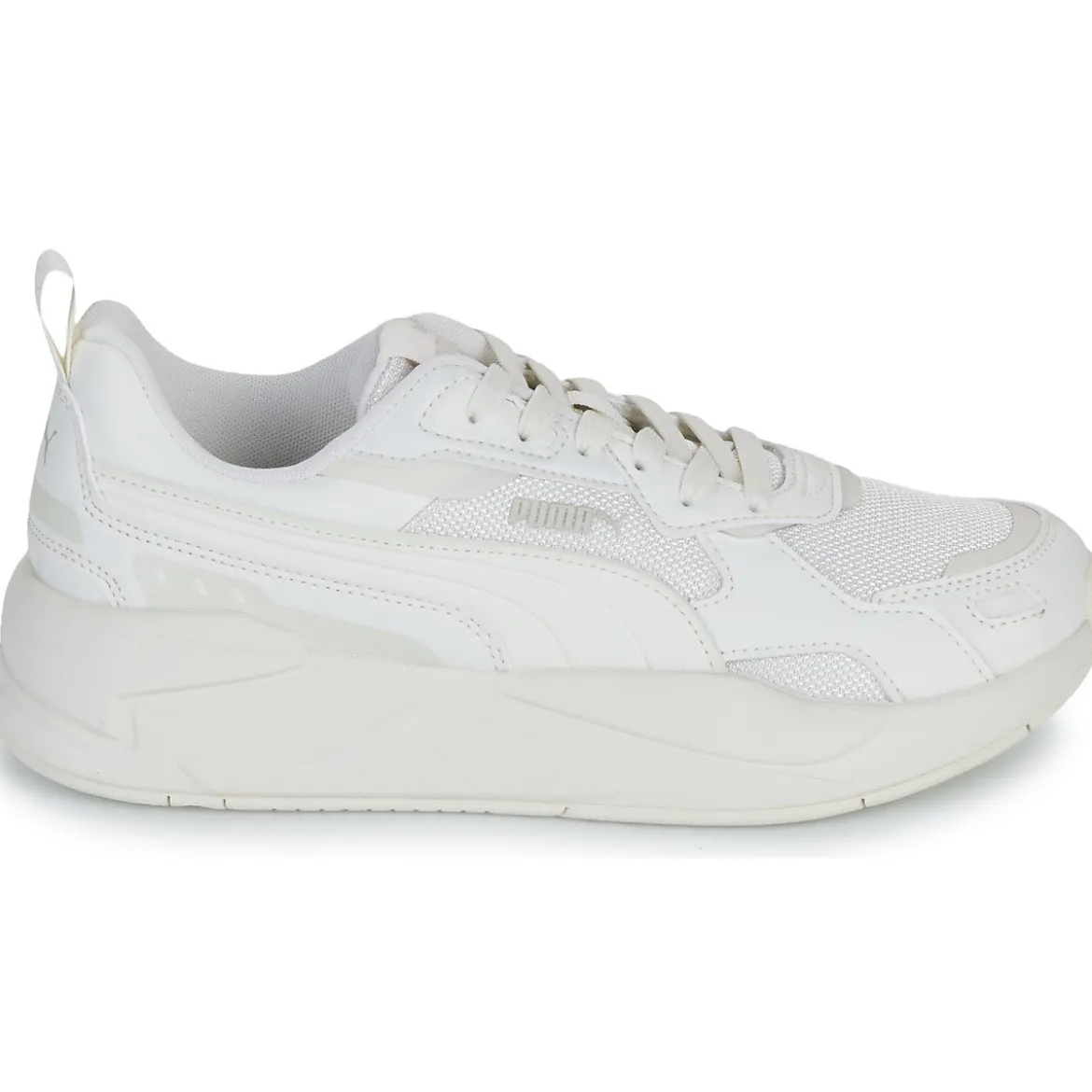 Puma X-ray
