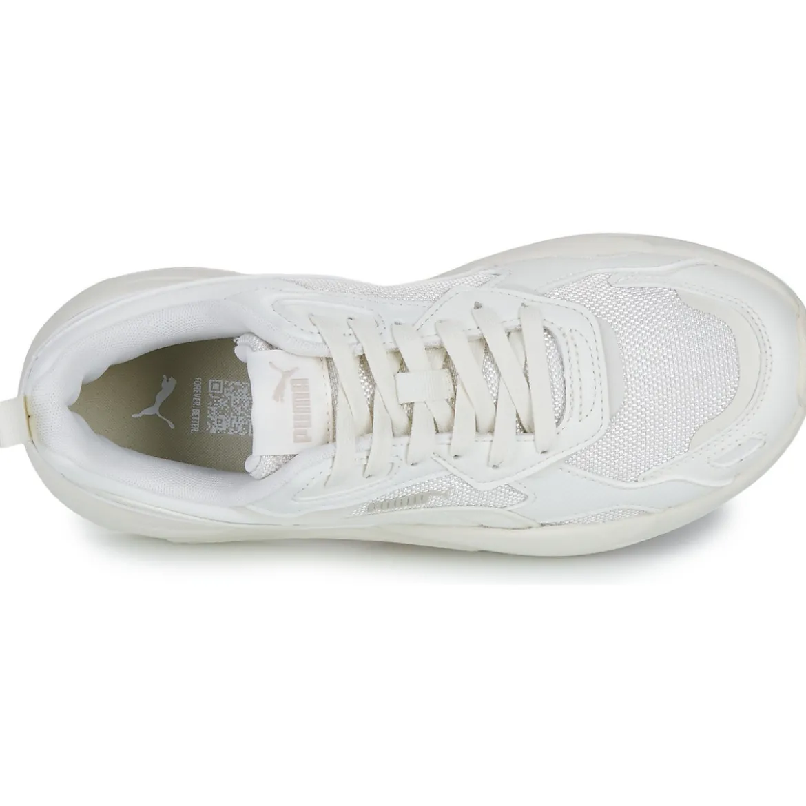 Puma X-ray