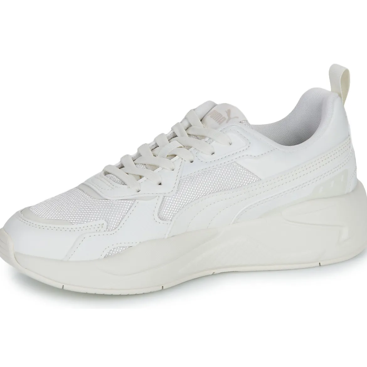Puma X-ray