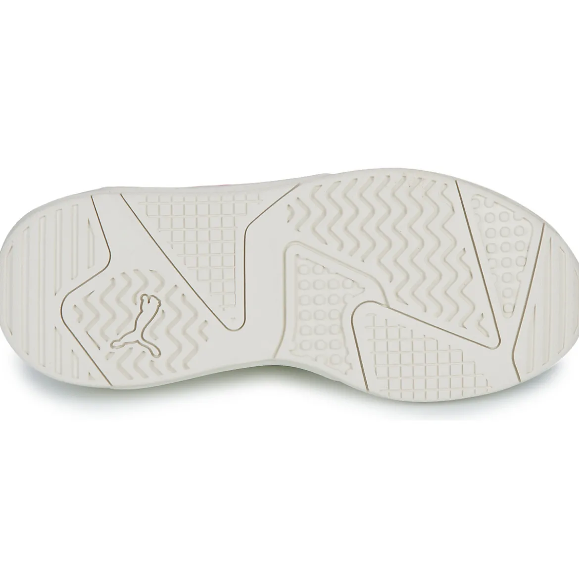 Puma X-ray