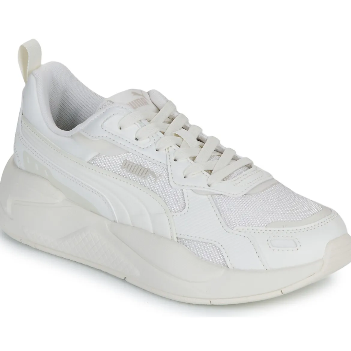 Puma X-ray