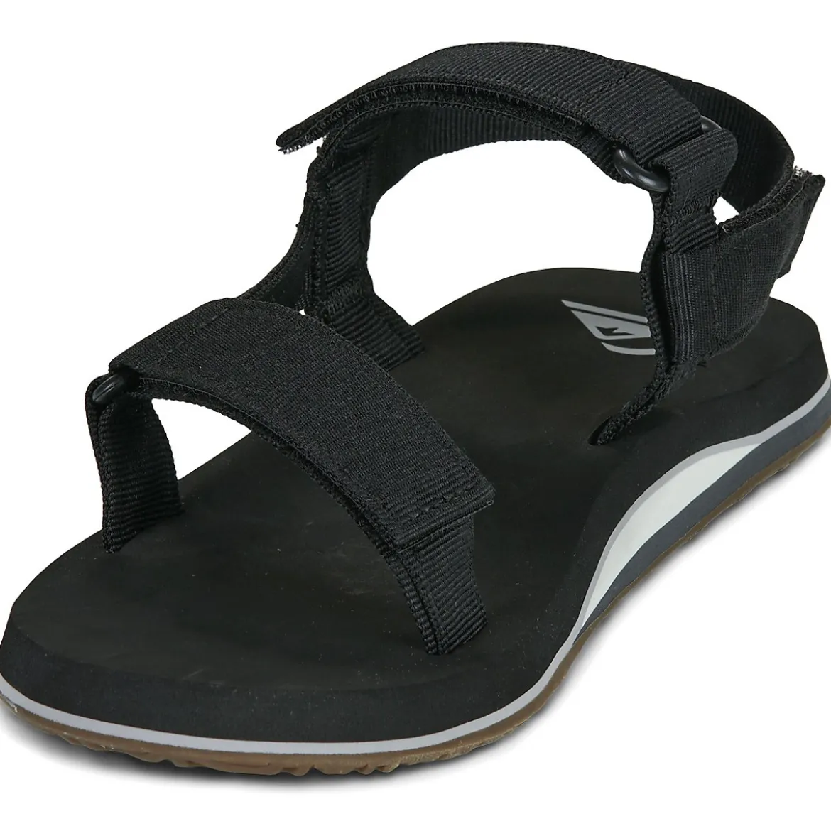 Quiksilver Monkey Caged