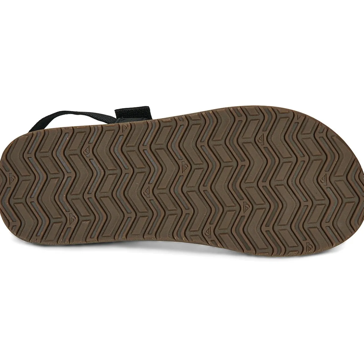 Quiksilver Monkey Caged