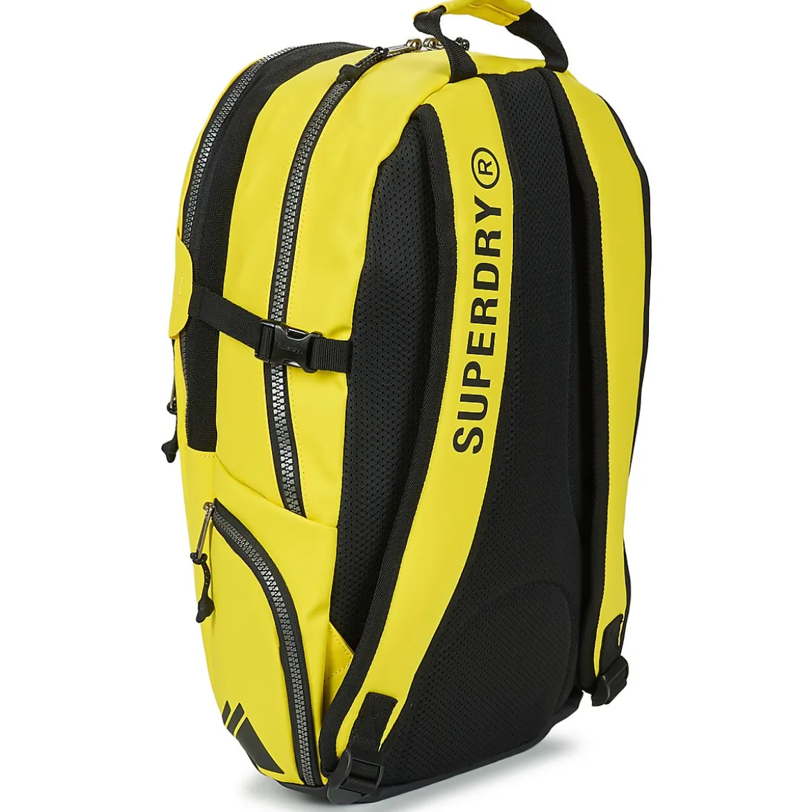 Rygsække Superdry
