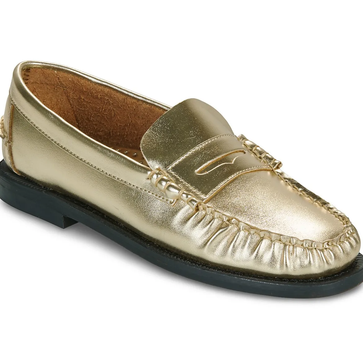 Sebago Dan