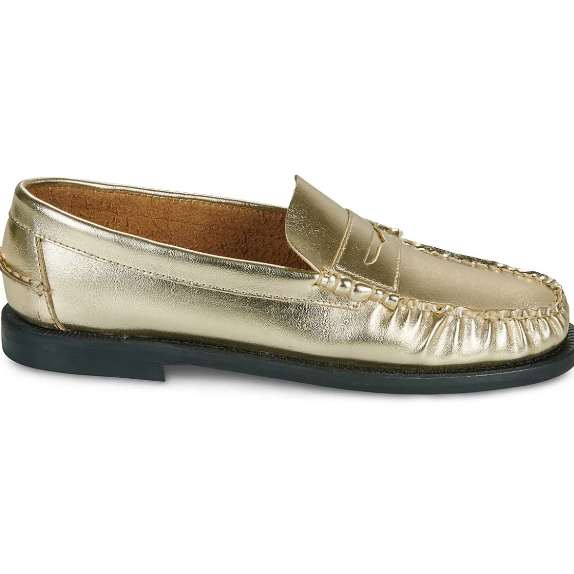 Sebago Dan