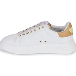Serafini CONNORS