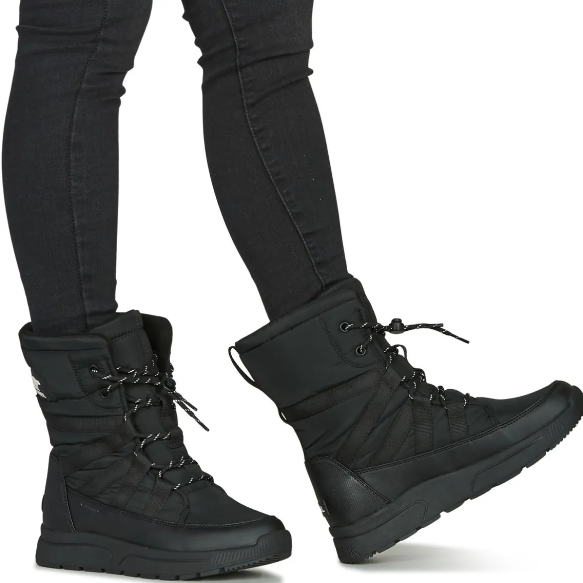 Sorel Whitney