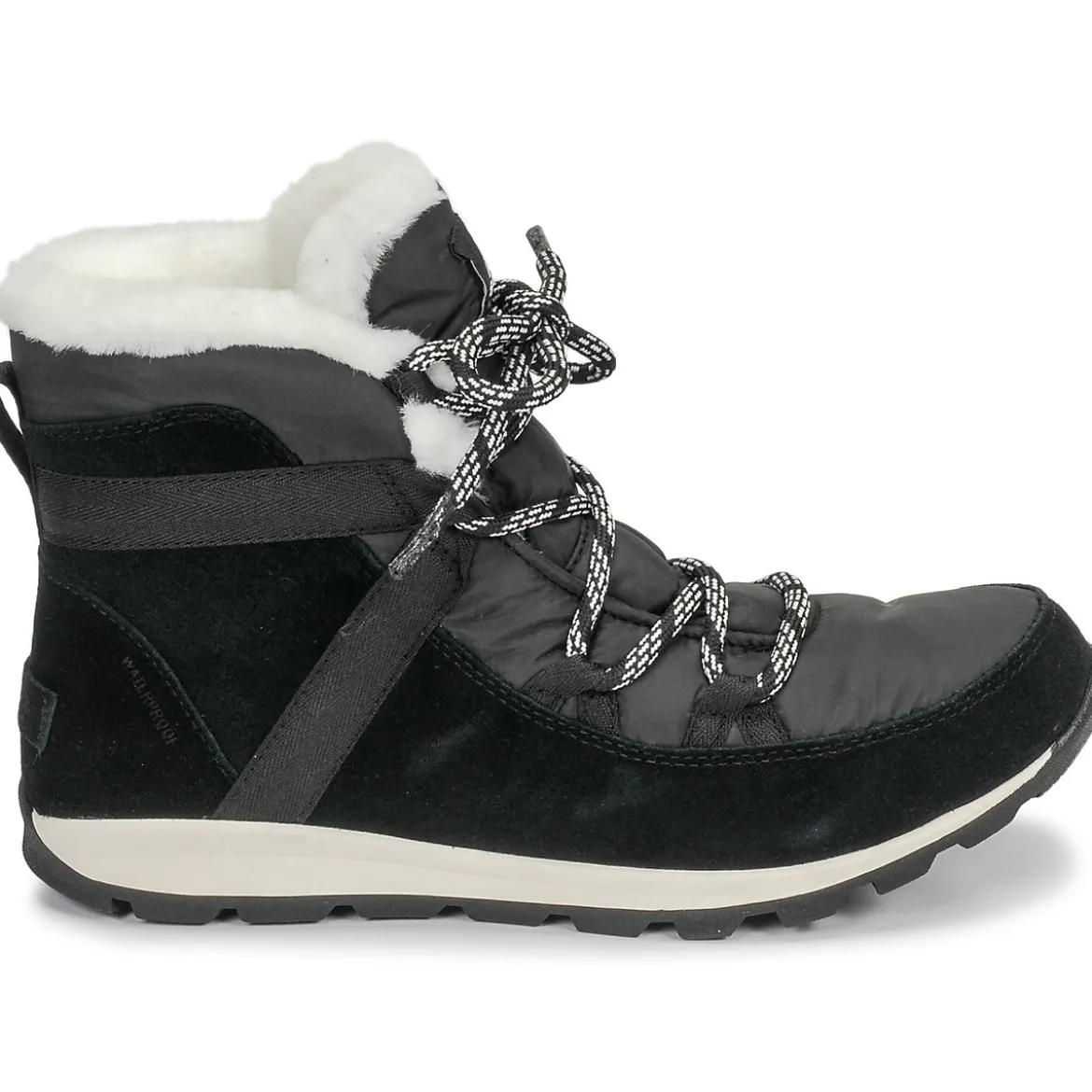 Sorel Whitney