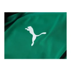 Sportsjakker Puma