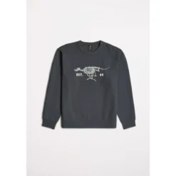 Sweatshirts G-Star Raw