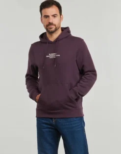 Sweatshirts m. hætte Element